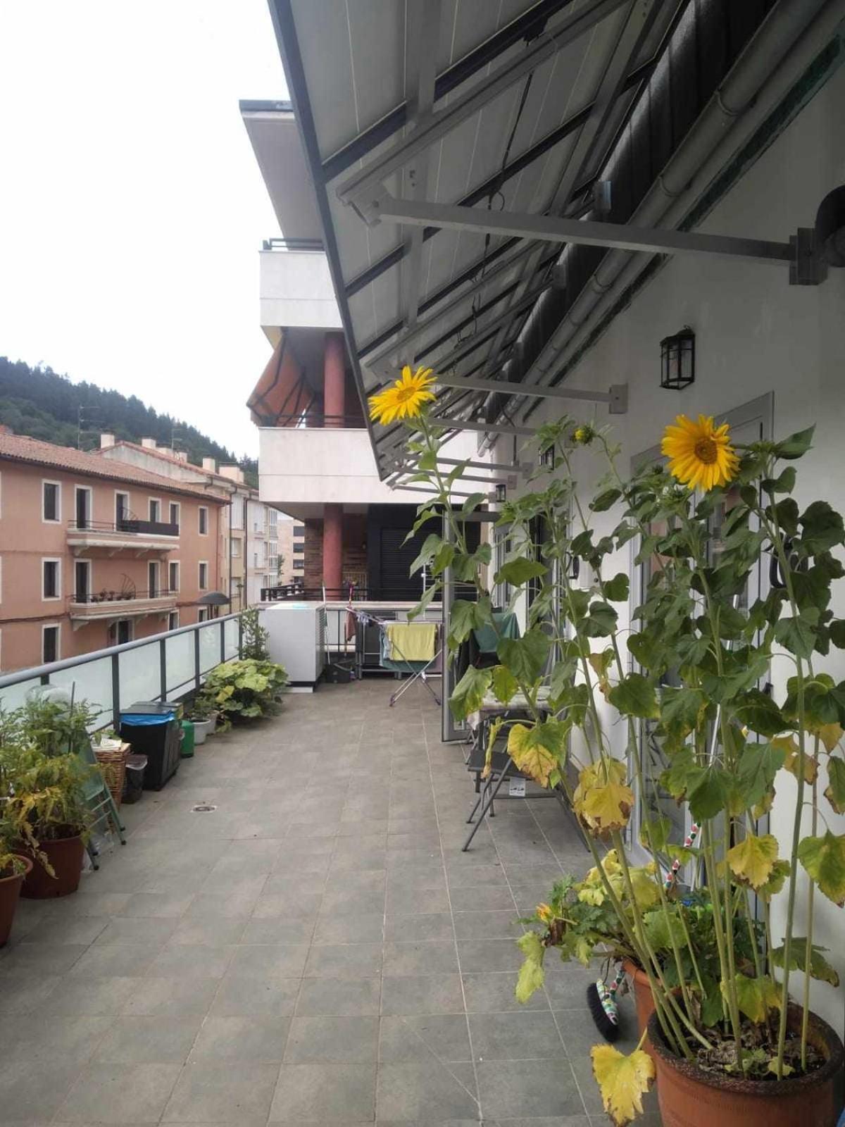 Aldabea II Apartamento Sostenible Legazpia Luaran gambar